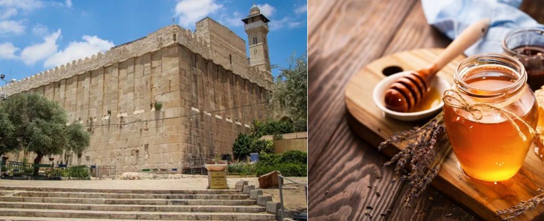 22 марта. Хеврон — древняя святыня и новейшие приобретения. Выезд из Хайфы